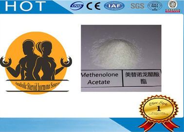 Safeshipping Raw Steroid Powder Methenolone Acetate Primobolan For Building Lean Muscle