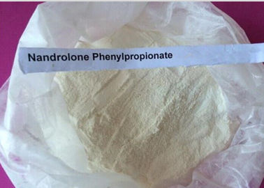 ผงสีขาว Nandrolone เตียรอยด์ / Durabolin Nandrolone Phenylpropionate CAS 62-90-8
