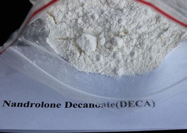 ผงสีขาว CAS 7207-92-3 Deca Durabolin เตียรอยด์, Nandrolone Decanoate Powder SGS อนุมัติ