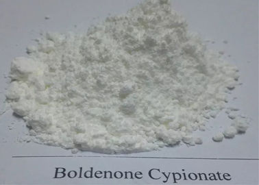 สีขาวเพาะกายดิบผง Boldenone เตียรอยด์ / Boldenone Cypionate CAS 106505-90-2 สำหรับการสร้างกล้ามเนื้อ