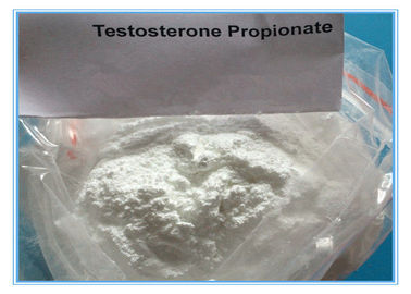 ผงเทสโทสเทอโรน CAS 57-85-2 สเตียรอยด์ฉีด Propinoate ทดสอบ