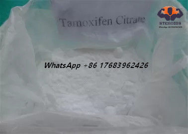 สเตียรอยด์ลดน้ำหนัก Tamoxifen Citrate Nolvadex ยาเสริมเพศ CAS 54965-24-1