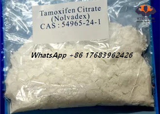 CAS 54965-24-1 Nolvadex Tamoxifen Citrate Estrogen Blocker เตียรอยด์ผงผลึกสีขาว