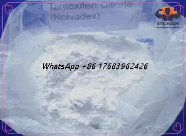 ผงสีขาวต่อต้านเอสโตรเจนสเตียรอยด์ Tamoxifen Citrate CAS 54965-24-1 Nolvadex CAS 54965-24-1